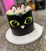 Cat Cake