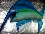 thumbnail_cakeswordfish.jpg